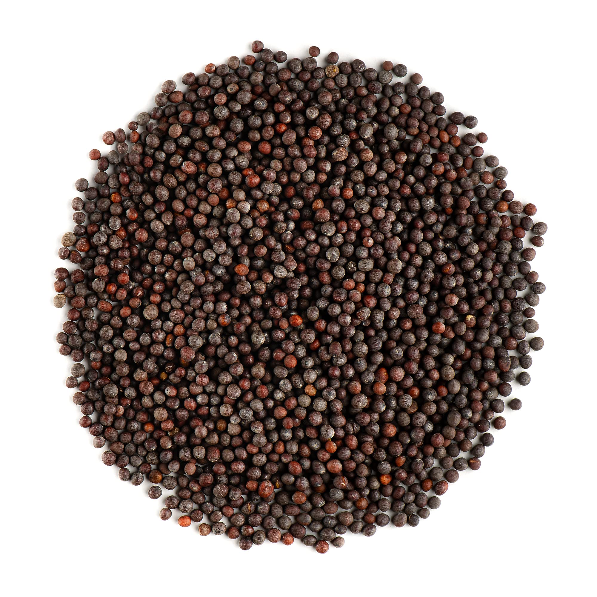 Black Mustard Seeds Hambelela Organic Black Mustard Seeds Hambelela Organic